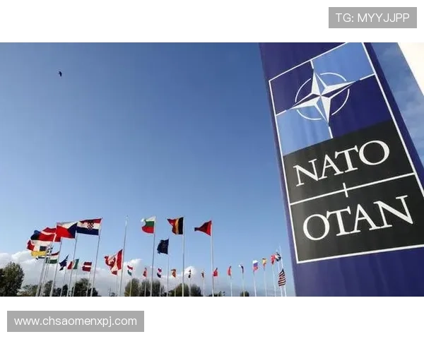 新普京平台官网游戏更新公告，第一时间掌握最新版本内容和活动安排