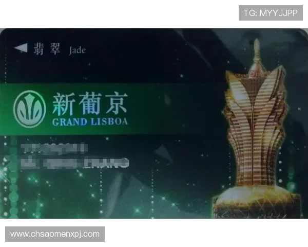 澳门新葡京手机登录入口官方最新版本，便捷快速一键登录体验升级