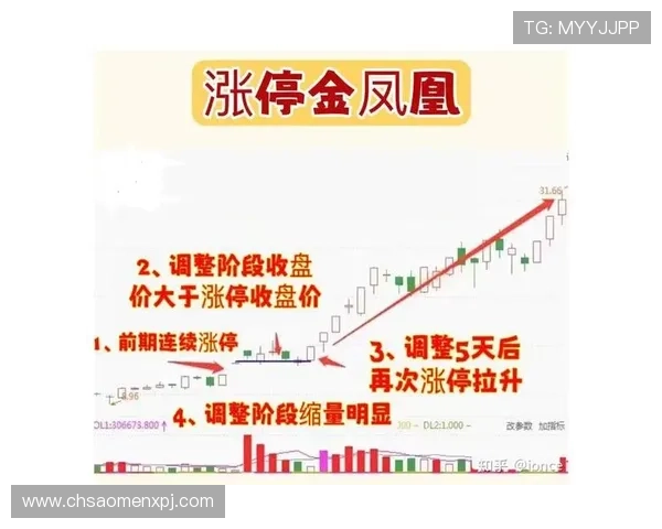 如何利用马会投注数据分析提升中奖概率实现稳健盈利的实用方法 如何利用马会投注数据分析提升中奖概率实现稳健盈利的实用方法